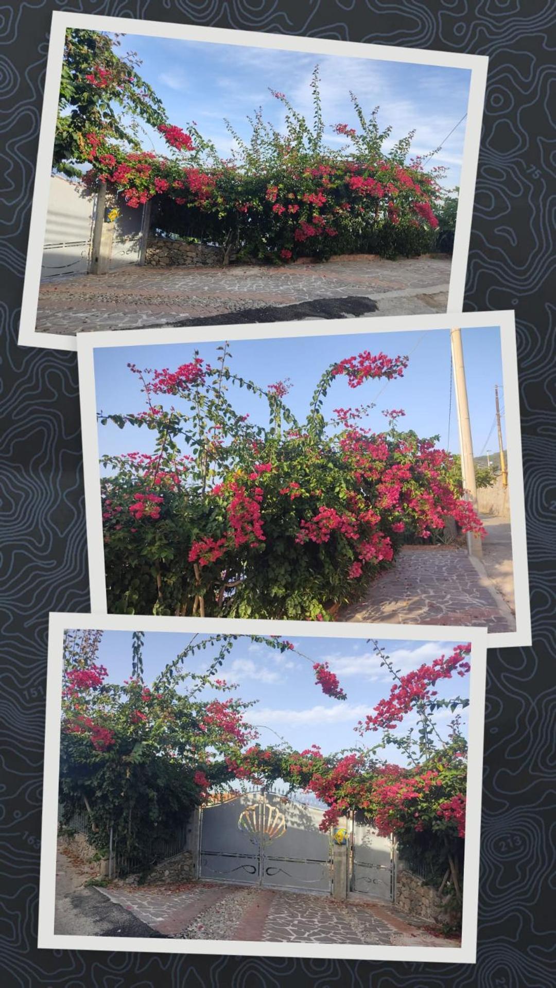 La Perla Di Buffari Appartamento Ciappina ปาลมี ภายนอก รูปภาพ